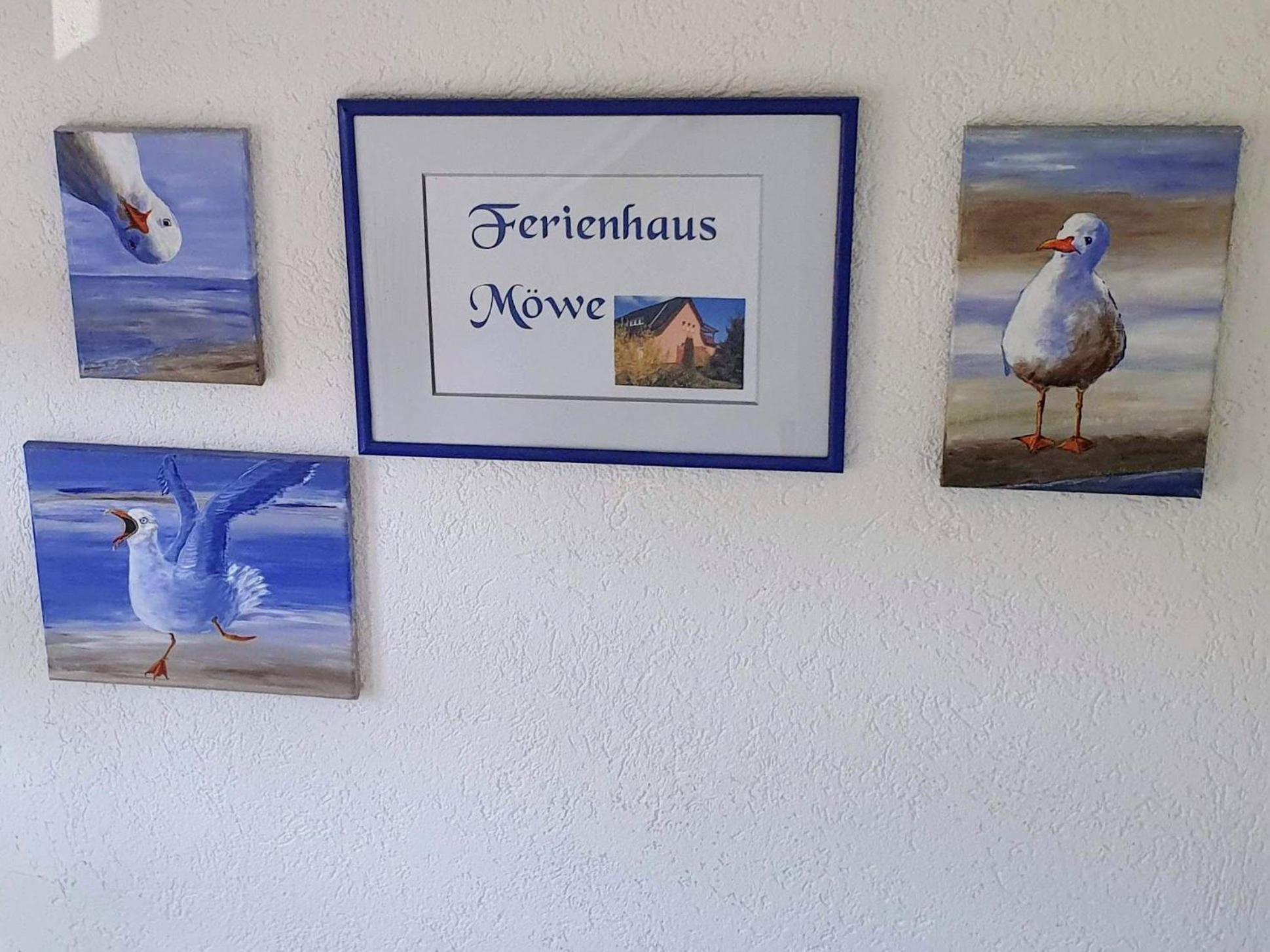 Ferienhaus Moewe Hanshagen  外观 照片
